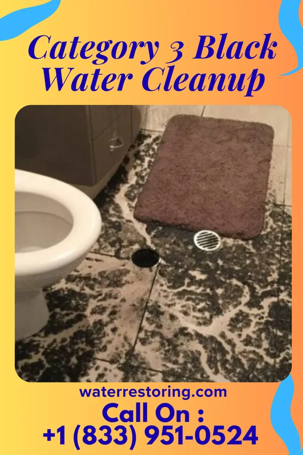 Category 3 Black Water Cleanup in Ratliff City, OK